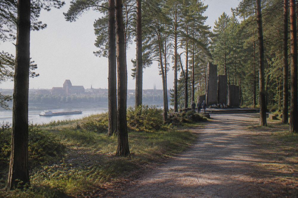 A forest path through tall pine trees leading to a memorial clearing at Barbarka