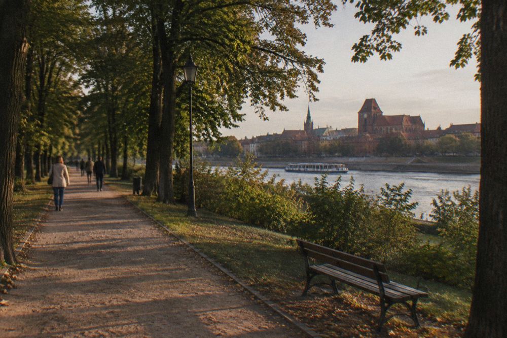 Tree-lined path in a city park in Bydgoskie Przedmieście