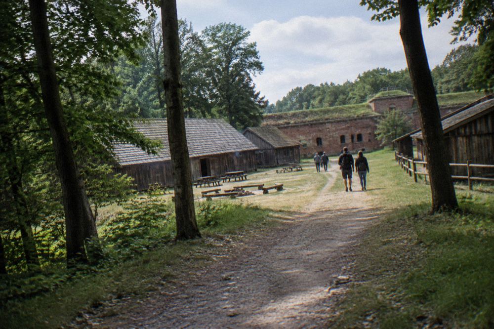 A forest path leading to a clearing with wooden buildings