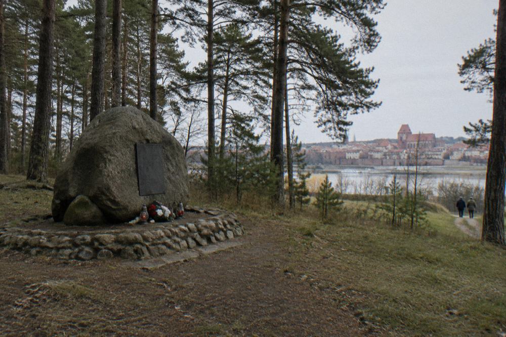 A memorial stone in a quiet forest clearing with pine trees