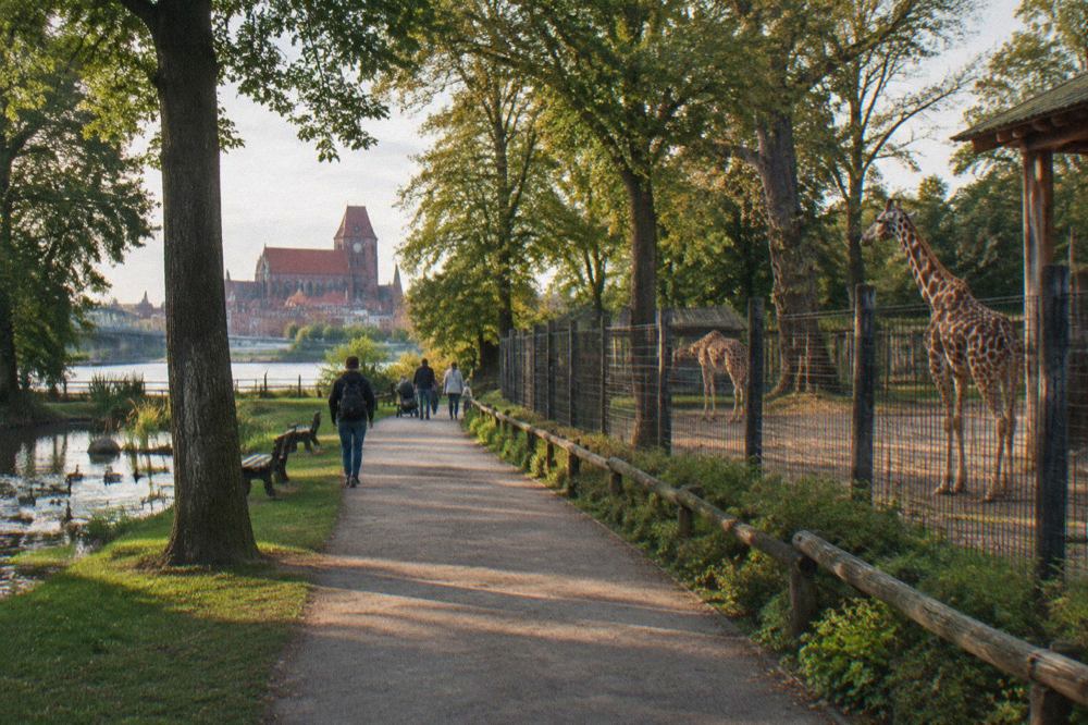 Tree-lined path through a small zoological garden with green lawns and animal enclosures