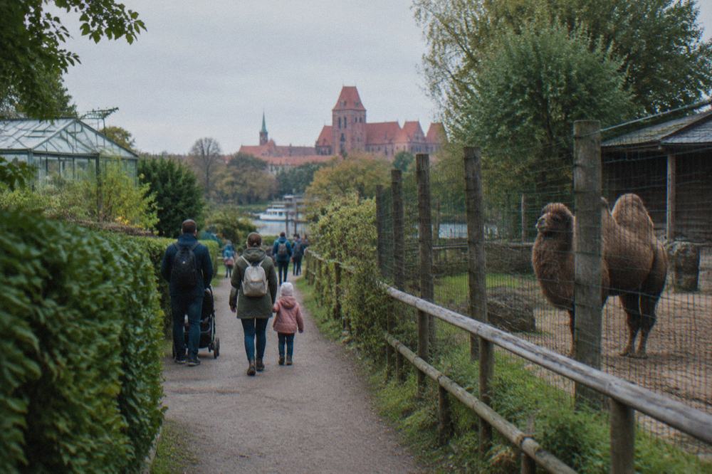 Families walking a narrow garden path between green hedges and animal enclosures