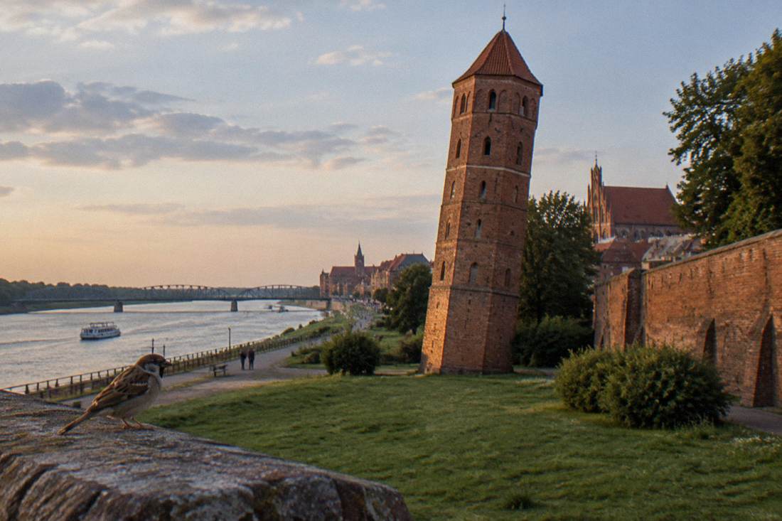 The tilting medieval brick Leaning Tower beside the Toruń town wall